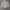 Burberry nova check women photo 7