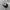 Converse Casual Sneakers Pria white black photo 3
