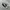 Converse Casual Sneakers Pria white black photo 4