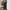 Longpants uniqlo Japan utility Multi pocket cargo photo 1