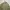 PARKA BY WISHLIST photo 3