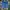 Dickies Streetwear Casual Short Pria blue photo 1