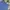 Dickies Streetwear Casual Short Pria blue photo 5