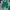 Dickies Streetwear Y2K Short Pria green photo 6