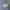 TOUGH GARMENT PERFECTO SCHOTT NYC ENGINEER DENIM JACKET photo 5