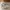Crocs Classix Unisex photo 5