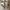Crocs Classix Unisex photo 1