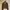 TEENIE WEENIE| Women's Cardigan Bear Brown With Pocket photo 1