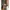 TEENIE WEENIE| Women's Cardigan Bear Brown With Pocket photo 2