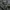Parka Big Size photo 2