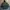 Parka Big Size photo 6