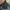 Parka Big Size photo 1