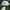 Vintage Hat Pria green cream photo 1