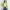 𐙚outer hijau pastel photo 2