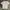 CDS Tshirt photo 2