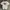 CDS Tshirt