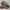 Adidas 4D Fusio Black Ultra Purple photo 1