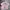 Oneill 90s OG Y2K Vintage Surf Oakley Ripcurl Billabong  photo 1