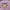 Oneill 90s OG Y2K Vintage Surf Oakley Ripcurl Billabong  photo 2
