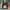 Ben Davis Streetwear Skater Hoody Pria multicolor photo 1