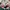 Ben Davis Streetwear Skater Hoody Pria multicolor photo 4