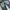 Jeans Evisu