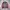 Exteondo Spain Gore-Tex Cycling Jacket photo 2