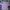 Casual Crop top Wanita purple photo 1