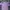 Casual Crop Top Wanita Purple