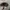 y2k Patrol Cap Leaf Pattern photo 4