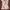 Babydoll Floral Mesh  photo 4