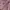 Pashmina Silk Mauve