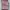 Pashmina silk mauve photo 1