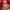 Adidas Handball Spezial Red Scarlet not samba gazelle vans photo 6
