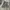 Jorts Dusty Grey Cargo Camo Y2K Vintage photo 9