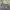 Jorts Dusty Grey Cargo Camo Y2K Vintage photo 4