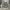 Jorts Dusty Grey Cargo Camo Y2K Vintage photo 1