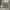 Jorts Dusty Grey Cargo Camo Y2K Vintage