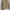 Blazers Armani Exchange Khaki photo 2