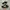 Adidas Superstar photo 1