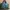 Coach Luxury Shoulder bag Wanita green photo 2