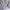 Beverly Hills Polo Club Minimalist Casual Harrington jacket Pria cream photo 4