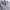 Beverly Hills Polo Club Minimalist Casual Harrington jacket Pria cream photo 2