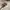 tumbler potato head photo 2