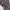 Abstaxt Outer - Custom Made photo 1