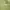 Lime Green Pleats Dress - Custom Made photo 4