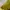babyGap Casual Bottom Kids yellow photo 3
