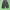 PUSH PUSH Black Baggy Pants photo 2