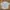 GRAGEBLUE STREETWEAR CAPPUCCINO OVERSIZED SNAP BUTTON photo 6