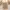 Bangkok Beige Milkmaid Corset Top Puff Sleeve | Katun Poplin photo 3
